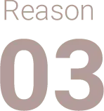 Reason03